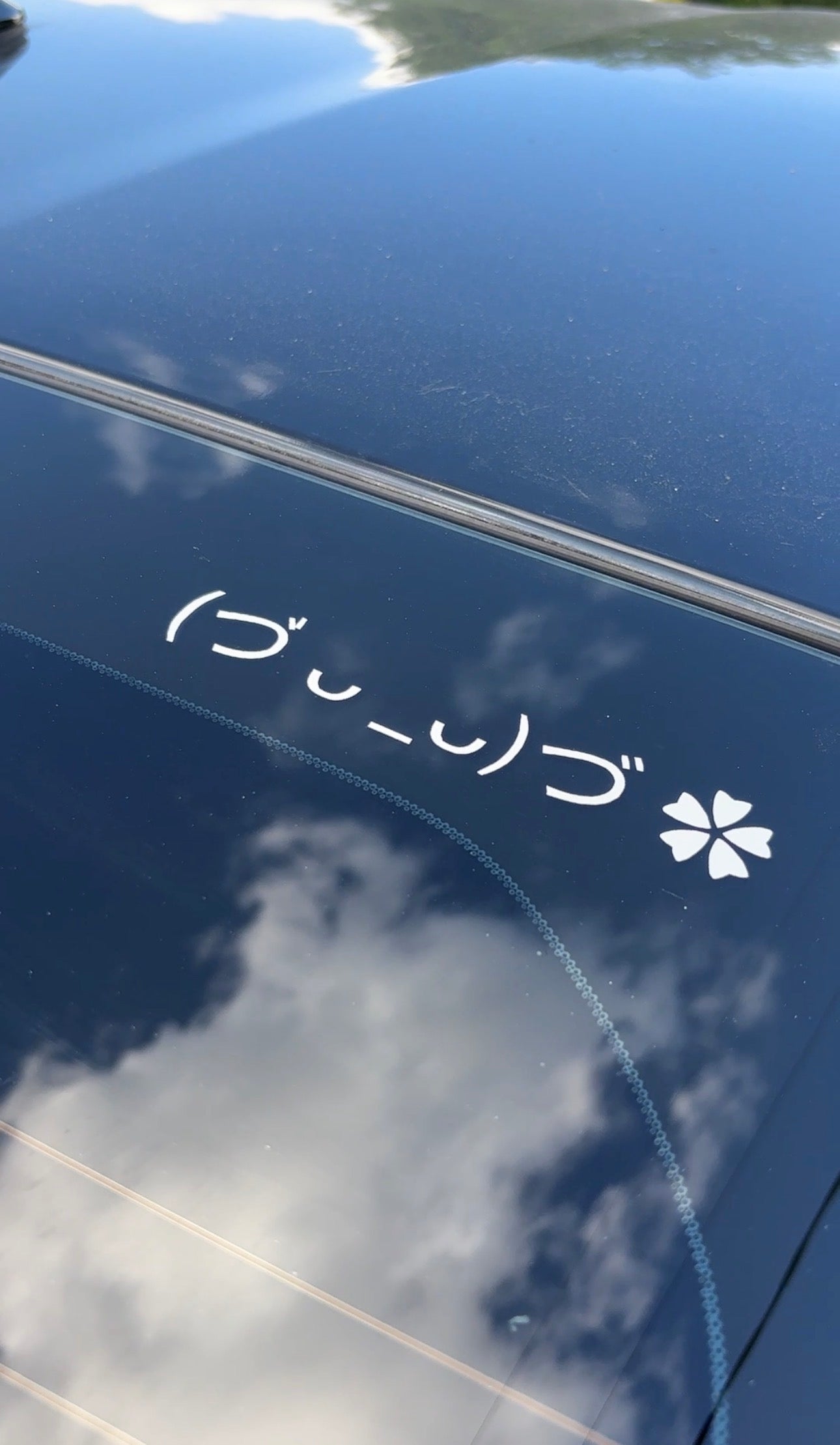 (づ ᴗ _ᴗ)づ ✿